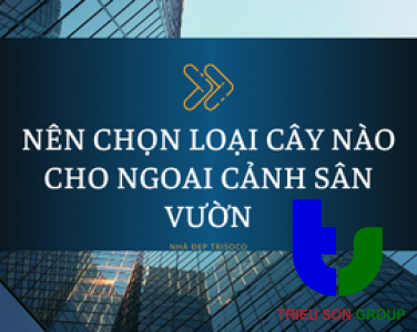 NÊN CHỌN LOẠI CÂY NÀO CHO NGOAI CẢNH SÂN VƯỜN